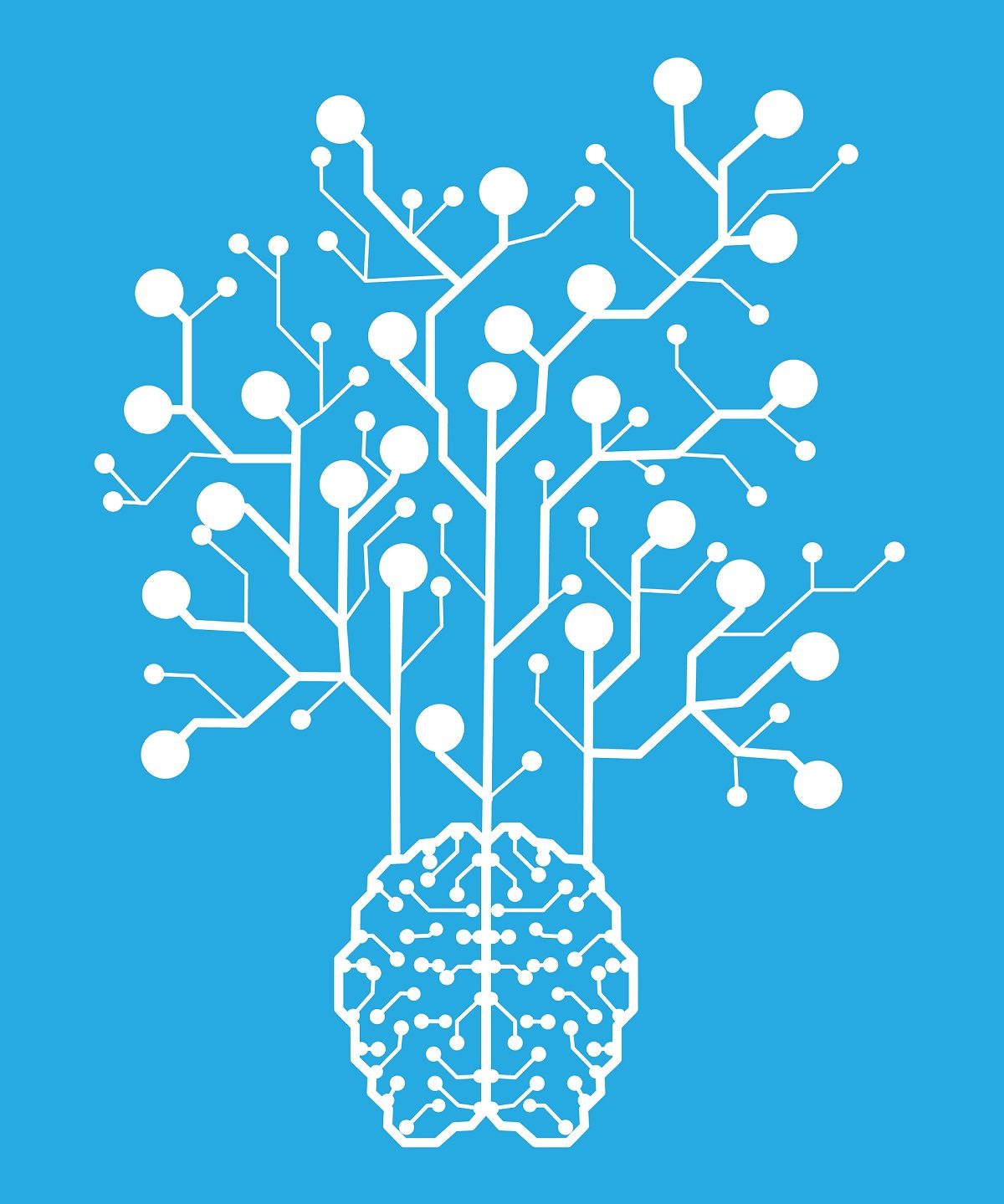 imagen de un cerebro y muchas neuronas